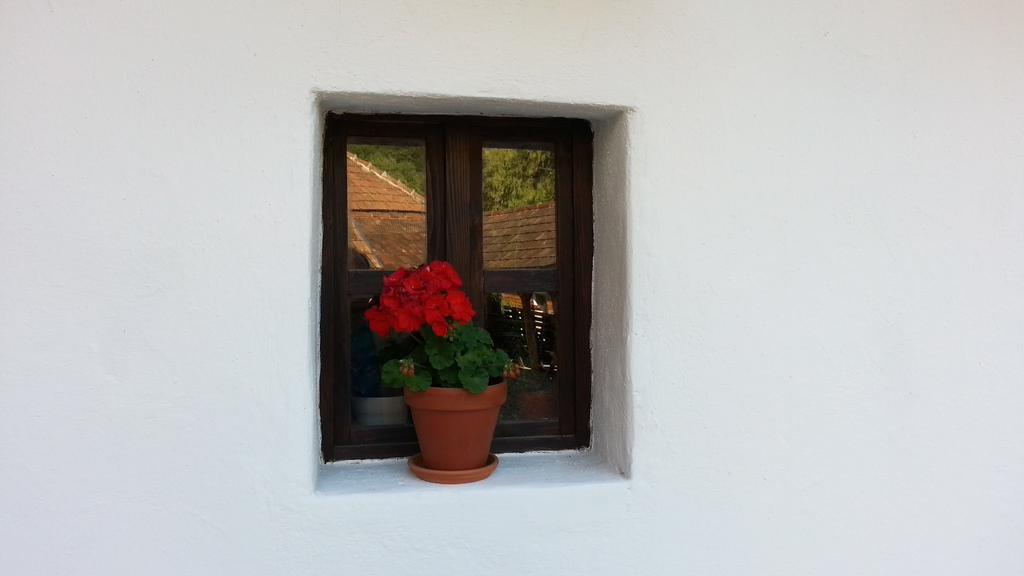 Zempleni Pitvaros Piheno Telkibánya Exterior foto